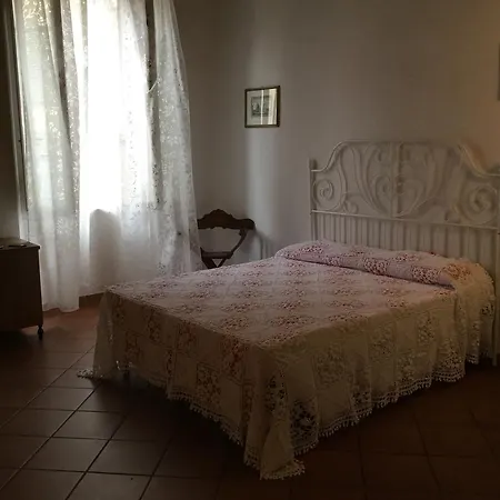 Hostel Alex