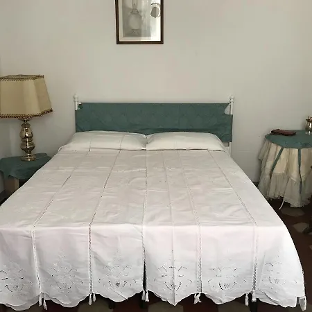 Alex Hostel