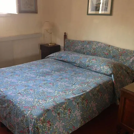 Alex Hostel *