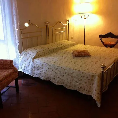 Hostel Alex Florence