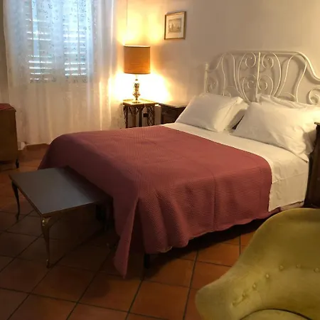 Alex Hostel