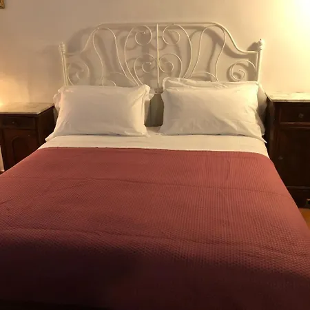 Alex Hostel